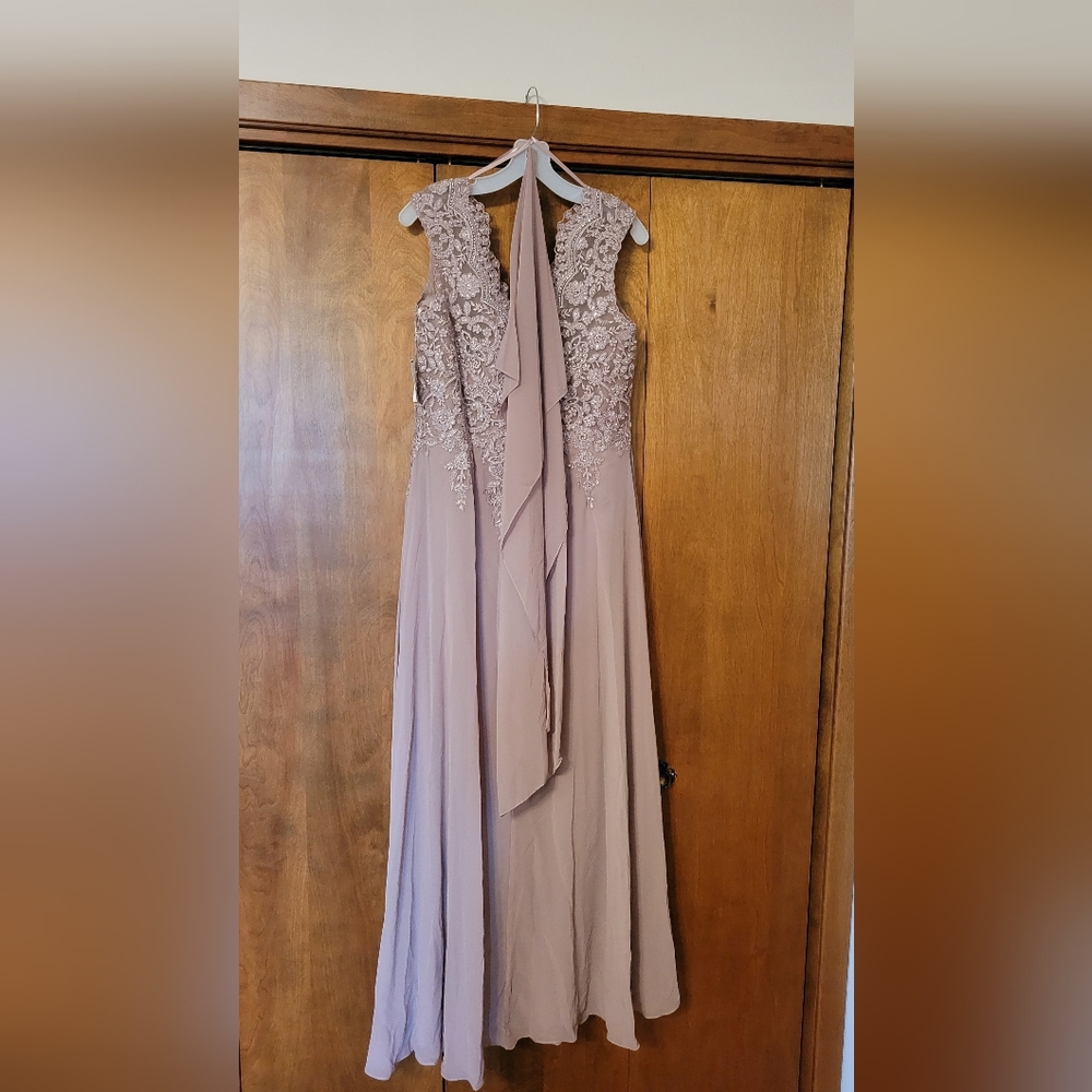 Cachet brand. NWT. Corded floral lace cap sleeve chiffon A-line dress. Size 14.